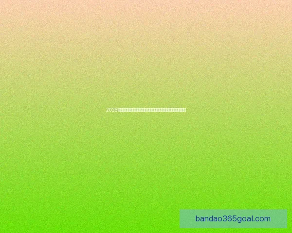 2026世界杯电视直播全方位指南：各大平台观看方法与精彩赛事预告