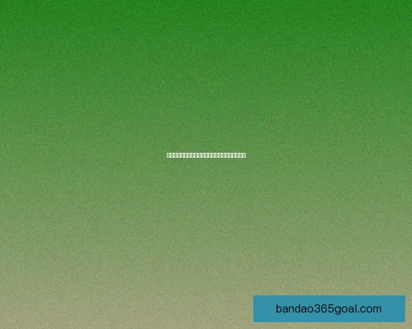 半岛体育比分最新动态全解析助力球迷掌握赛况变化