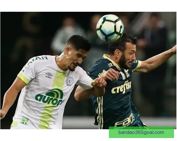 体育竞猜赔率解析：如何通过数据分析提升投注精准度与获胜机会